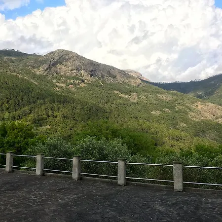 Pincia * كاسارزا ليغير